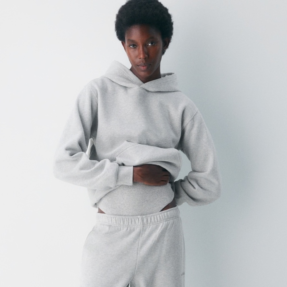 Aritzia Gray Perfect Hoodie